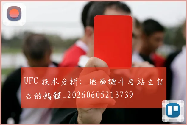 UFC 技术分析：地面缠斗与站立打击的精髓_20260605213739